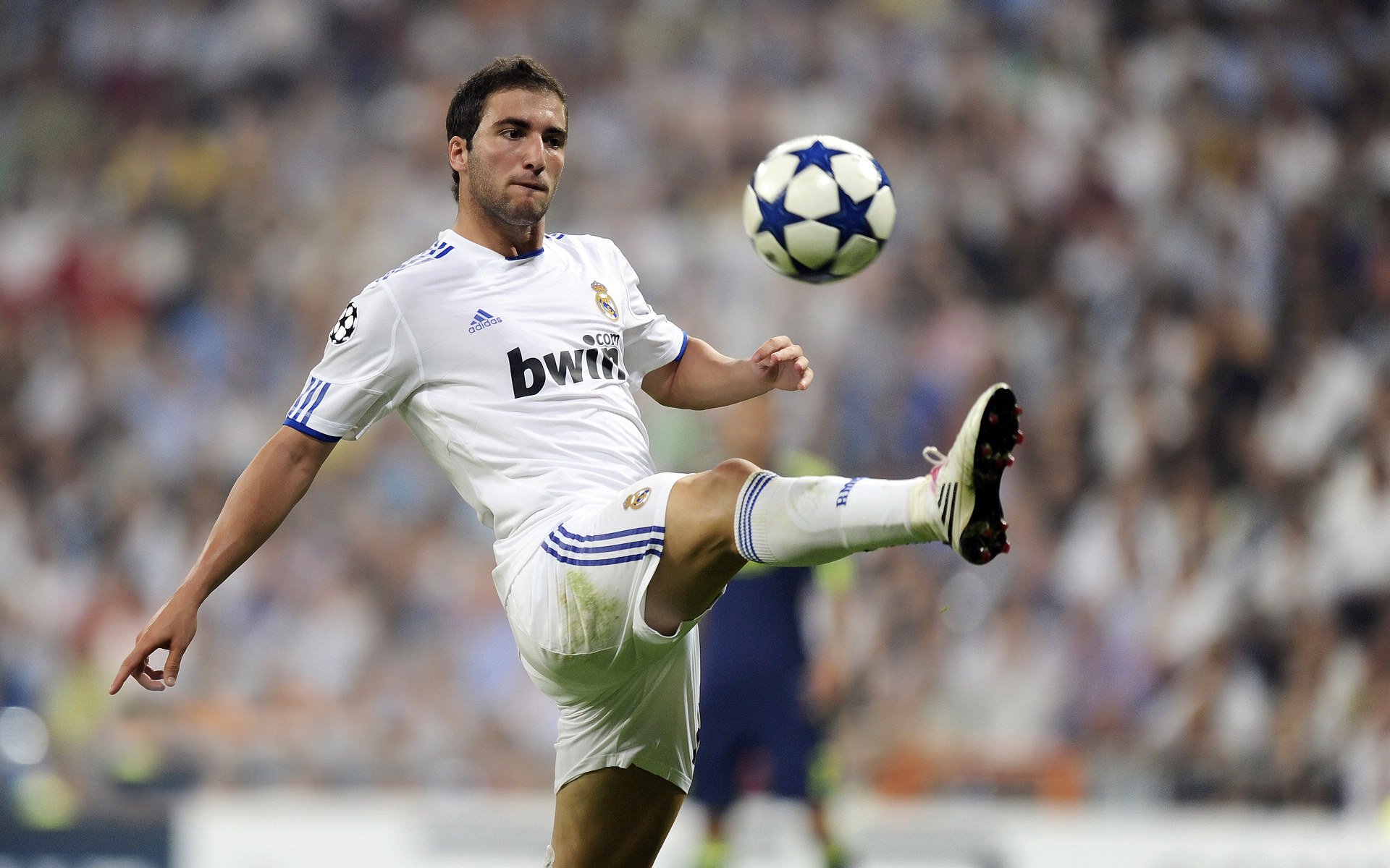 多项体育赛事在本周举行